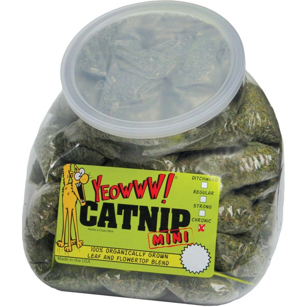Yeowww! Jug with 50 Mini's Catnip Toys