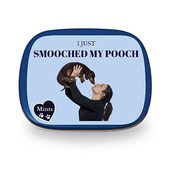 I Just Smooched My Pooch Mints – Funny Gift for Dog Lovers Crazy Dog Person Gifts Funny Mint Tins Stocking Stuffers for Dog People Wintergreen Mints Kissed My Dog Dachshund Gifts, 3oz