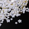 200Pcs White Acrylic Flower 3D Nail Charms Flower Nail Art Charms White Acrylic Flower Rhinestones with Gold Beads Mixed Blossom Size Metal Beads Nail Supplies for Women and Girls Nail Art Decoration