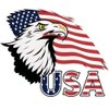 Dopetattoo 6 Sheets Temporary Tattoos Eagle America Usa Flag tattoo Temporary tattoo Neck
