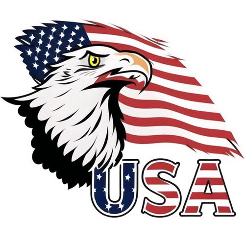 Dopetattoo 6 Sheets Temporary Tattoos Eagle America Usa Flag tattoo Temporary tattoo Neck