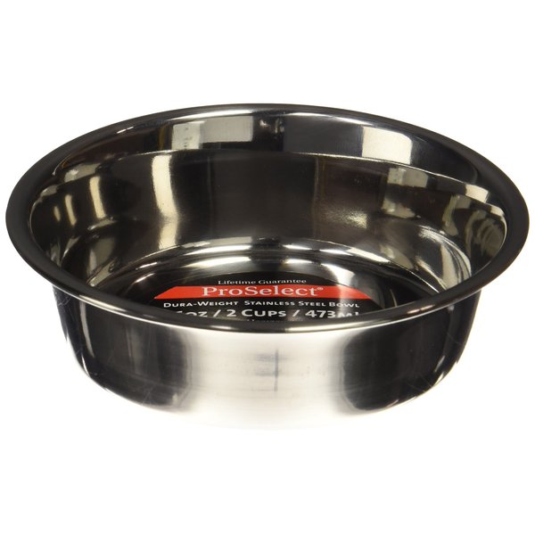 ProSelect Dura-Weight Stainless Steel Dishes — Durable Dishes for Dog and Cat Food, 1-Pint