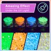 Chunky Glitter and Glow in The Dark Glitter 8 Colors with Glue Set 2, Holographic Body Glitter + Glow Glitter for Women Face Body Nail Hair Sparkle Makeup at The Concert/Festival/Rave Party