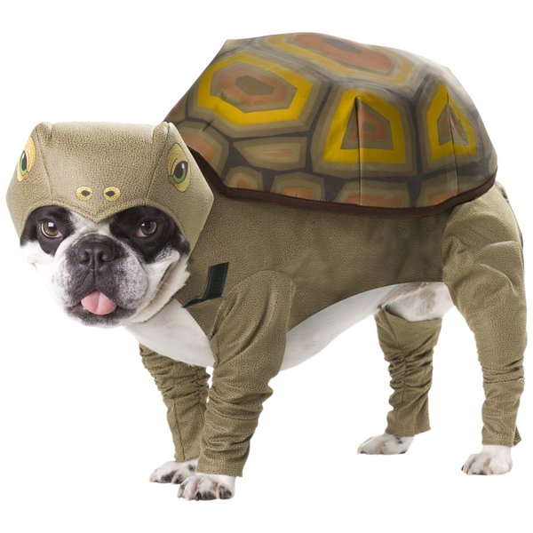 Animal Planet PET20102 Tortoise Dog Costume, X-Small