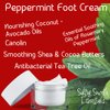 Peppermint Foot Cream - Relieves + Replenishes Dry Skin, Cooling Peppermint with Soothing Ultra-Moisturizing Shea + Cocoa Butters, Lanolin + Essentials oils (8 oz)