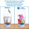 IPIDIPI TOYS Water Growing Sea Creatures Toys for Kids - 32 Pack Growing Animals in Water - Ocean Themed Under The Sea Party Favors, Birthday Goodie Bag Fillers, Piñata Stuffers, School Prize Box Toys