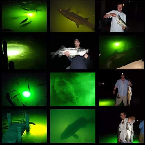 BLUERICE Submersible Fish Finder, Underwater Lure Bait Light, Fish Attracting Lamp, Night Fishing Light, Boat Fishing Light, Pool Light 12V 10.8W 180 LEDs 1080 Luminous IP68 with 5M Cord (Green)