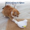 Peek-A-Bird Cat Toy Replacement Feathers – 2 Pack Refill Parts – Interactive Teaser Toy for Indoor Cats