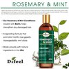 Difeel Elevated Rosemary Mint Hair Conditioner with Biotin 12 oz. - Made with Natural Rosemary & Mint to Strengthen Dry, Damaged Hair, Promote Growth, Smooth Split Ends & Moisturize Dry Scalp