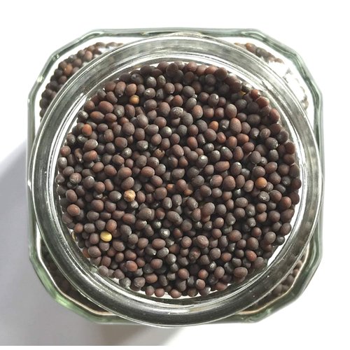 Mustard Seed Pair by Crimson & Clove. Whole Brown and Yellow Mustard Seeds 3.2 oz. Each
