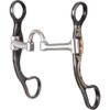 Classic Equine Floral Scroll Tool Box Straight Shank Bit with Short Correction, 6-inch