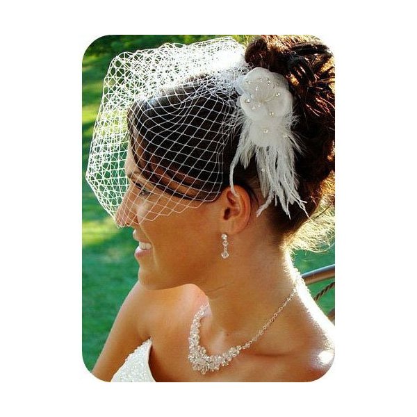 White Birdcage Veil & Flower Feather Fascinator Comb