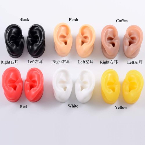 CHUANCI Soft Silicone Ear Model for Hearing aid 1:1 Human Ear Ear Model Simulation Display Props Teaching Tools Jewelry Display Earrings (On Pair White Color)