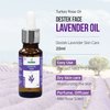 Destek Turkish Lavender Essential Oil for Facial & Skin Care - Pure & Natural Ingredients Relieves & Moisturizes Skin - Great for Face, Body, Hair & Diffuser Scents
