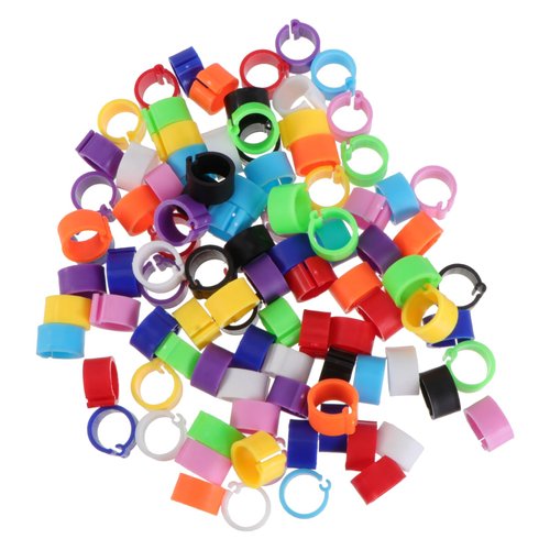 GANAZONO 100 Pcs Cockatiel Leg Band 6mm para Canarios 3mm Stacking Toy Birds Toys Parrot Toys Bird Toy Toys for Birds Number Tags Bird Identification Rings chew Parrot cage
