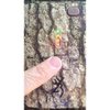 Browning Trail Camera External Battery Pack