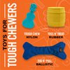 BULLYMAKE Nylon Steak Chew Toy For Dogs | Durable Dog Toy for Aggressive Chewers | Made in USA