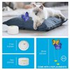 ALL FOR PAWS Interactives Cat Teaser Toy Catnip Toy Flutter Bug Cat Wand Toy Cat Fun Playing Toys Kitten Toys (Shiny Butterfly)