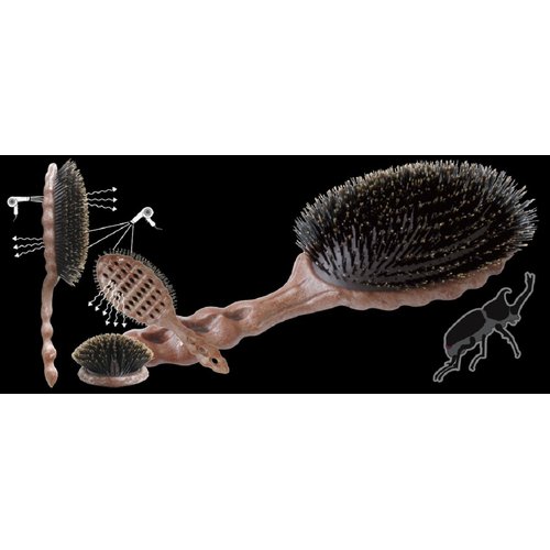 YS Park Hair Brush - Beetle - Soft Cushion - Marble Wood Air Vent - 1 Boar YS-BR68AS1