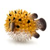 Gemini&Genius Pufferfish Toy, Realistic Puffer Fish Action Figure, Real Blowfish Toy, Educational Gift, Display and Play Toy, DIY Craft Decor, Swimming or Bath Toy for Kids