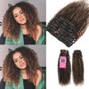 YAMI Kinky Curly Clip in Hair Extensions Human Hair for Black Women Kinky Curly Hair 10Pcs Clips Triple Weft Human Hair 3C 4A Curly Clip in Extensions 120g Kinky Curly Clip Ins (P4/30,14 inch)