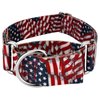 Country Brook Petz - Patriotic Tribute Martingale Dog Collar - Americana Collection with 4 Patriotic Designs (1 1/2 Inch, Medium)