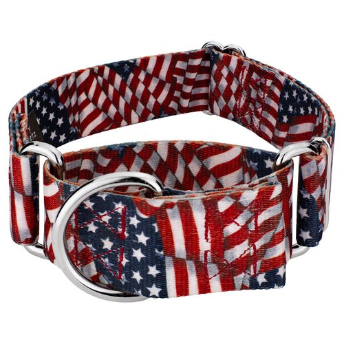 Country Brook Petz - Patriotic Tribute Martingale Dog Collar - Americana Collection with 4 Patriotic Designs (1 1/2 Inch, Medium)