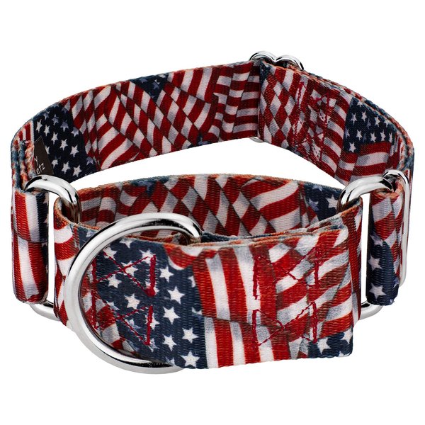 Country Brook Petz - Patriotic Tribute Martingale Dog Collar - Americana Collection with 4 Patriotic Designs (1 1/2 Inch, Medium)
