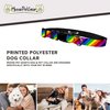 Moose Pet Wear Dog Collar - Patterned Adjustable Pet Collars, Made in the USA - 3/4 Inch Wide, Medium, Rainbow Stripe