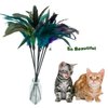 CATENESS Cat Wand Toy Feather Stick Cat Toys, 8 PCS Cat Feather Wand Toys, Interactive Cat Toy Feather Wand for Indoor Cats