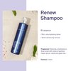 MONAT Renew™ Shampoo Infused with Rejuveniqe® - Moisturizing Shampoo w/ Omega Fatty Acids for Medium to Thick Hair. Shine-enhancing, Ultra-hydrating Lather for Dry Hair - Net Wt. 237 ml / 8.0 fl. oz.