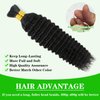 Human Hair Bulk For Braiding No Weft 100% Unprocessed Brazilian Virgin Weave Braid Deep Wave Curly Human Hair Extensions Two Bundles Micro Braiding Human Hair 100g No Weft(20 inch, Natural Black)