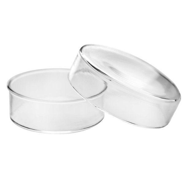 EISCO Petri Dish, 2" (50mm) - Beaded Edges Easy to Sterilize for Repeated Use Borosilicate Glass- Eisco Labs