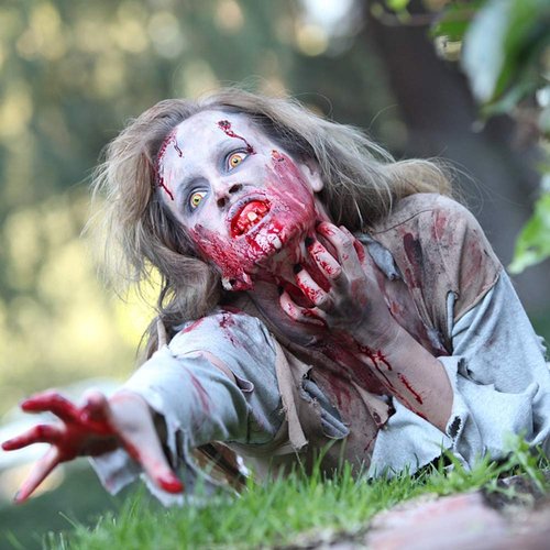 Zombie Makeup Kit, Scar Wax SFX Halloween Makeup Kit, Professional Special Effects Makeup Kits for Bruise, Zombies,Vampires, Wounds,Monster, Cosplay and Theatrical Stage, SFX Makeup Supplies Kit Bulk…