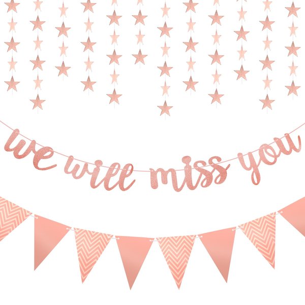 We Will Miss You Rose Gold Glitter Graduation Banner and Triangle Flag Banner Star Swirl Banner for Retirement Farewell Office Going Away Work Party Decorations