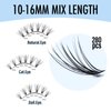 IECILI Lash Clusters Individual Lashes - 280pcs 30D Cluster lashes for DIY Lash Extensions -Super Thin & Soft Eyelashes 10-16mm D Curl Cluster Eyelash Extensions for Natural Wispy Look