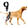 Dog ACL Brace for Front Rear Leg, Adjustable Dog Leg Braces Rear Leg or Front Legs, Pain Relief Hip Dysplasia Support CCL Brace for Pets Cruciate Ligament Injury Recovery, XS