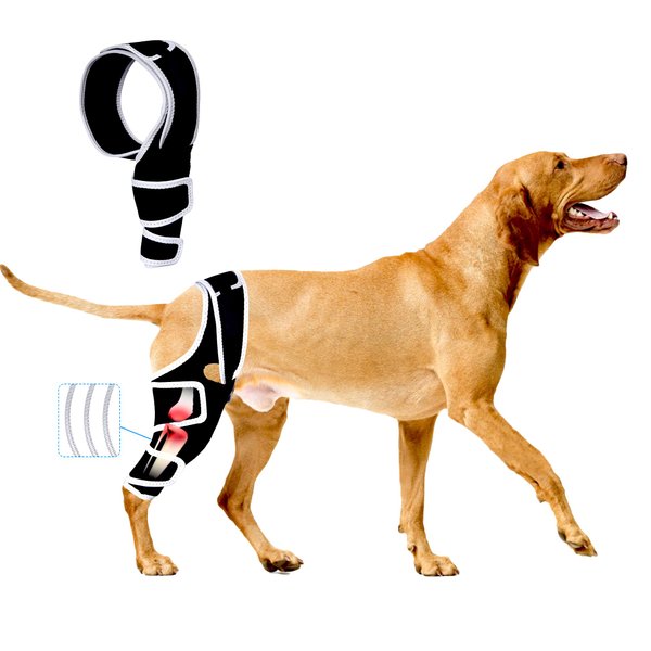 Dog ACL Brace for Front Rear Leg, Adjustable Dog Leg Braces Rear Leg or Front Legs, Pain Relief Hip Dysplasia Support CCL Brace for Pets Cruciate Ligament Injury Recovery, XS