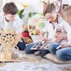 Solar 3D Wooden Puzzles for Adults Birthday Gifts for Kids Ages 6-8-10-12-14 Ferris Wheel DIY Model Kit Educational Puzzle Building Toys STEM Projects Science Experiments