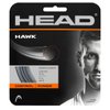 HEAD Hawk Tennis Racket String 40' Set - 18 Gauge Monofilament Racquet String, Grey