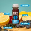 Vive Organic Brain + Immunity Blueberry Lemon Wellness Shot, 2 fl oz Bottle (Pack of 12)