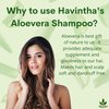 Havintha Natural Amla Reetha Shikakai And Aloevera Powder Shampoo For Oily Hair| Organic Powder for Hair Growth