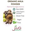 Organic Amla Powder 1.25 LB (20oz) - Pure, Lab Tested, Gluten Free, Non-GMO, Pure Amalaki Powder From India, Vitamin C, Bulk Bag, 100% Raw & Natural - by Jiva Organics
