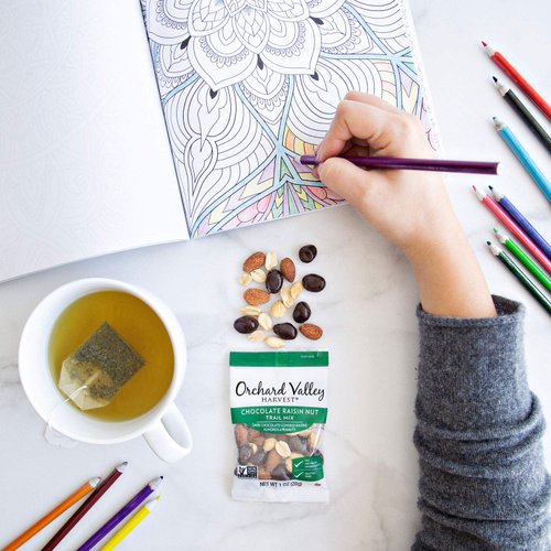 ORCHARD VALLEY HARVEST Chocolate Raisin Nut Trail Mix, 1 oz (Pack of 8), Non-GMO, No Artificial Ingredients