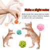 Andiker Cat Balls, 5pcs Colorful and Build-in Bell Cat Sound Ball Toy Bird Toys Natural Play Balls Parrot Gnawing Toy Chew and Chase Cat Toys for Indoor Cats to Keep Fit and Active (Bell Ball)