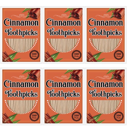 600 Picks Cinnamon Flavored Toothpicks Bulk Cinnamon Toothpicks for Adults Oral Hygiene Teeth Dental Care, Cinnamon Flavor, 6 Pack