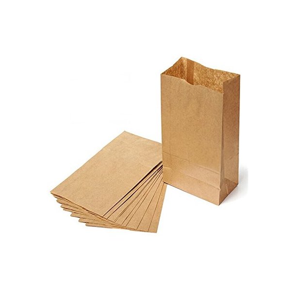 Novolex 2BBP, 2 Brown Kraft Paper Bags, Disposable Take Out Unprinted Grocery Bread Bags, 500-Piece Bundle