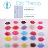 Ice Pack for Lip Filler, Lip Ice Pack Bulk Small Ice Pack for Mouth, Injections, Injuries, Bruises (40 count Red)