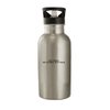 Molandra Products Just Wing It. Life, Eyeliner, Everything. - Stainless Steel 20oz Water Bottle, Silver