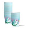 Skiing Birthday Party Supplies Set Plates Napkins Cups Tableware Kit for 16